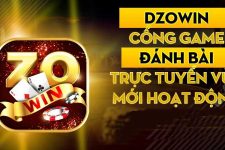 DZoWin – Cổng cược an toàn, hấp dẫn cho cược thủ