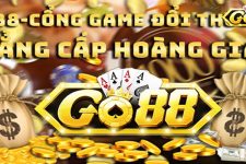 Cổng Game PLAYGO889COM Đình Đám Tân Binh Cần Biết