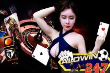 Alowin247 – Thương Hiệu Giải Trí Đẳng Cấp Được Săn Đón