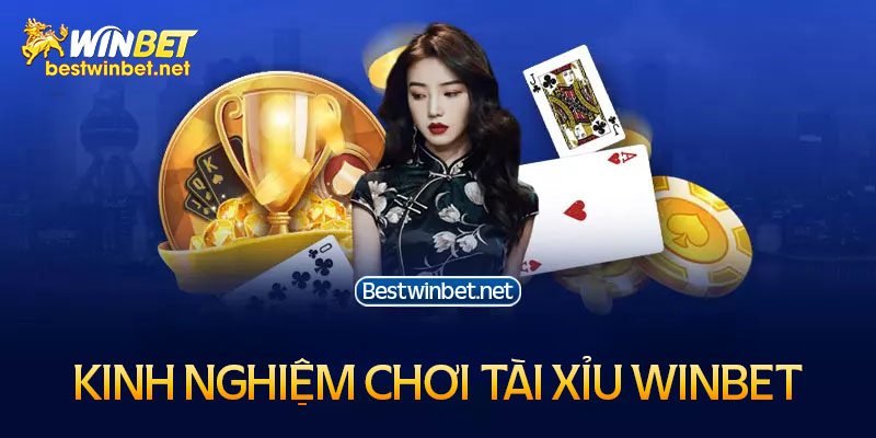 Kinh nghiệm chơi tài xỉu Winbet luôn thắng