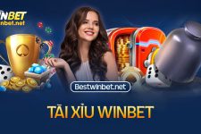 Tài Xỉu Winbet – Trải Nghiệm Đỉnh Cao, Cơ Hội Thắng Lớn