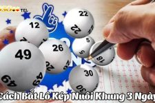 Chiến lược nuôi lô kép khung 3 ngày siêu chuẩn và hiệu quả