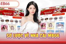 Mb66 – Nhà Cái Cá Cược Giải Trí Online Uy Tín Nhất Năm 2024