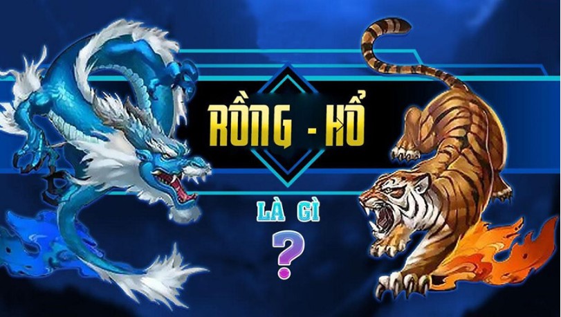 Rồng Hổ là gì?