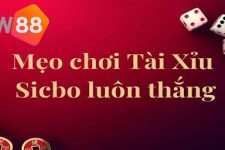 Kinh Nghiệm Chơi Tài Xỉu New88: Tự Tin “Tiền Về Đầy Túi”!