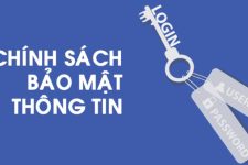 Nhà cái vin777 – Sân chơi đặt cược hàng đầu 2024