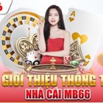 MB66 Là Trang Web Thu Hút Hàng Triệu Lượt Truy Cập Mỗi Tháng