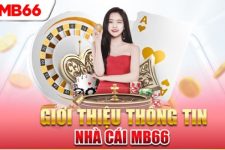 MB66 Là Trang Web Thu Hút Hàng Triệu Lượt Truy Cập Mỗi Tháng