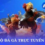 F8bet – Sảnh cược đá gà F8bet trực tuyến hấp dẫn nhất 2024