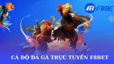 F8bet – Sảnh cược đá gà F8bet trực tuyến hấp dẫn nhất 2024